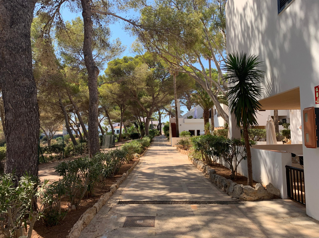 Club Cala Azul主图