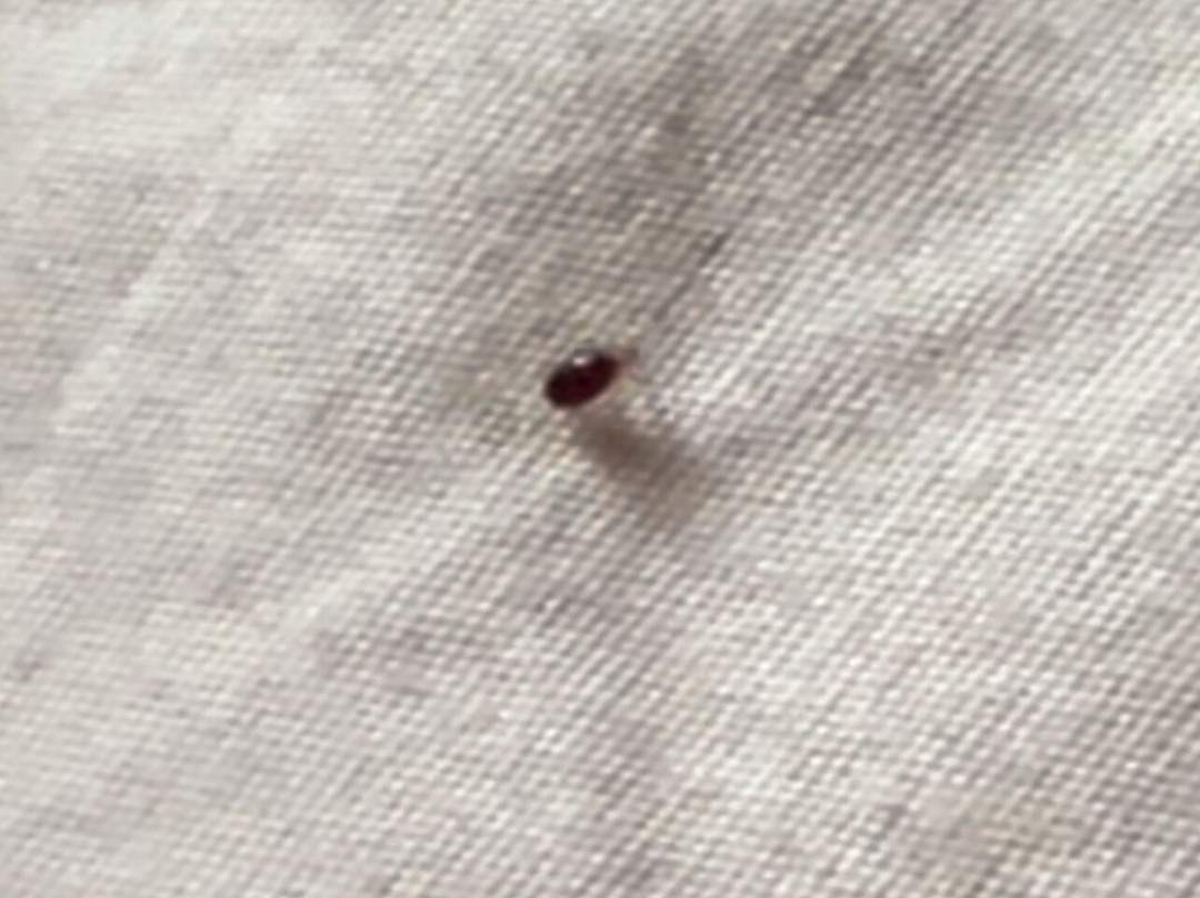 阿尔图纳速8酒店主图