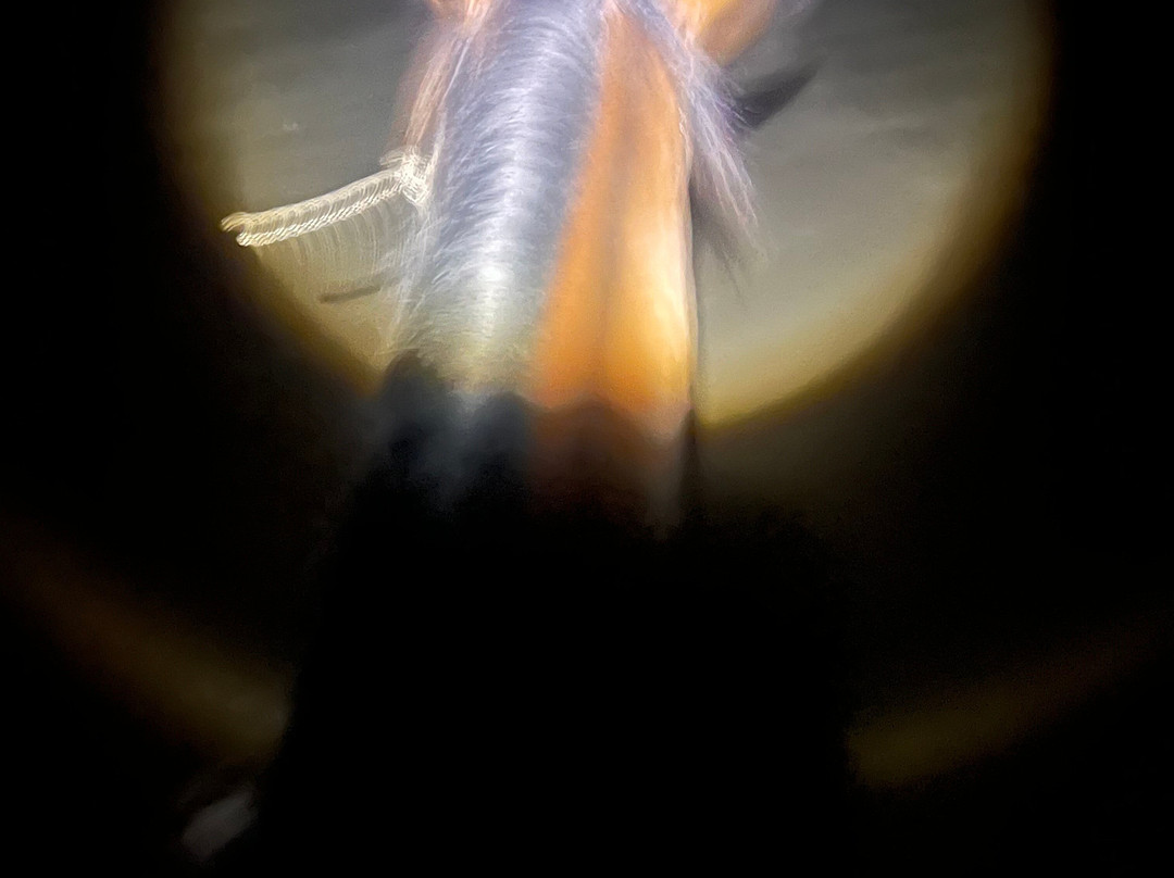 Riding Escapes景点图片