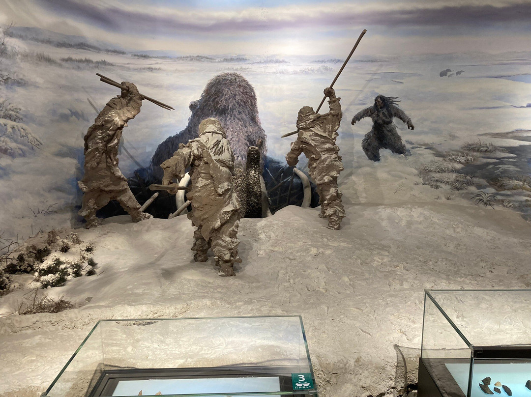 吉林省博物馆-长春市必去景点