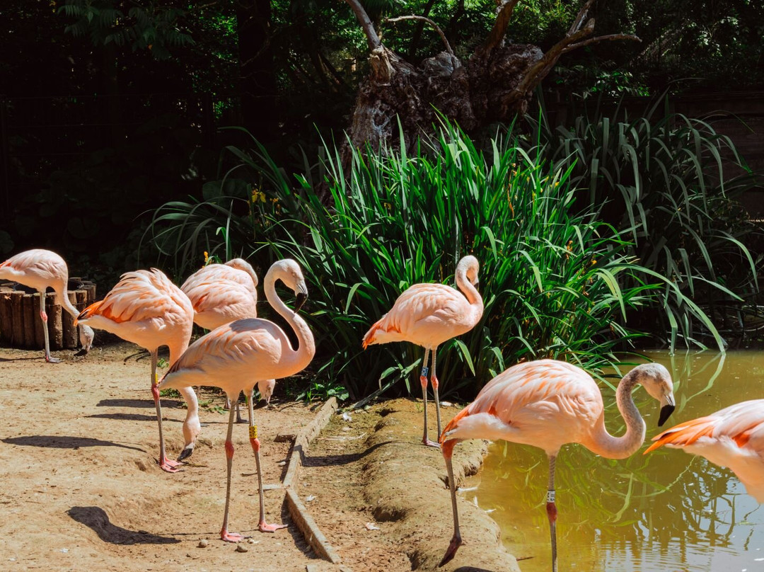 Sanjes Safari-Feanwalden必去景点