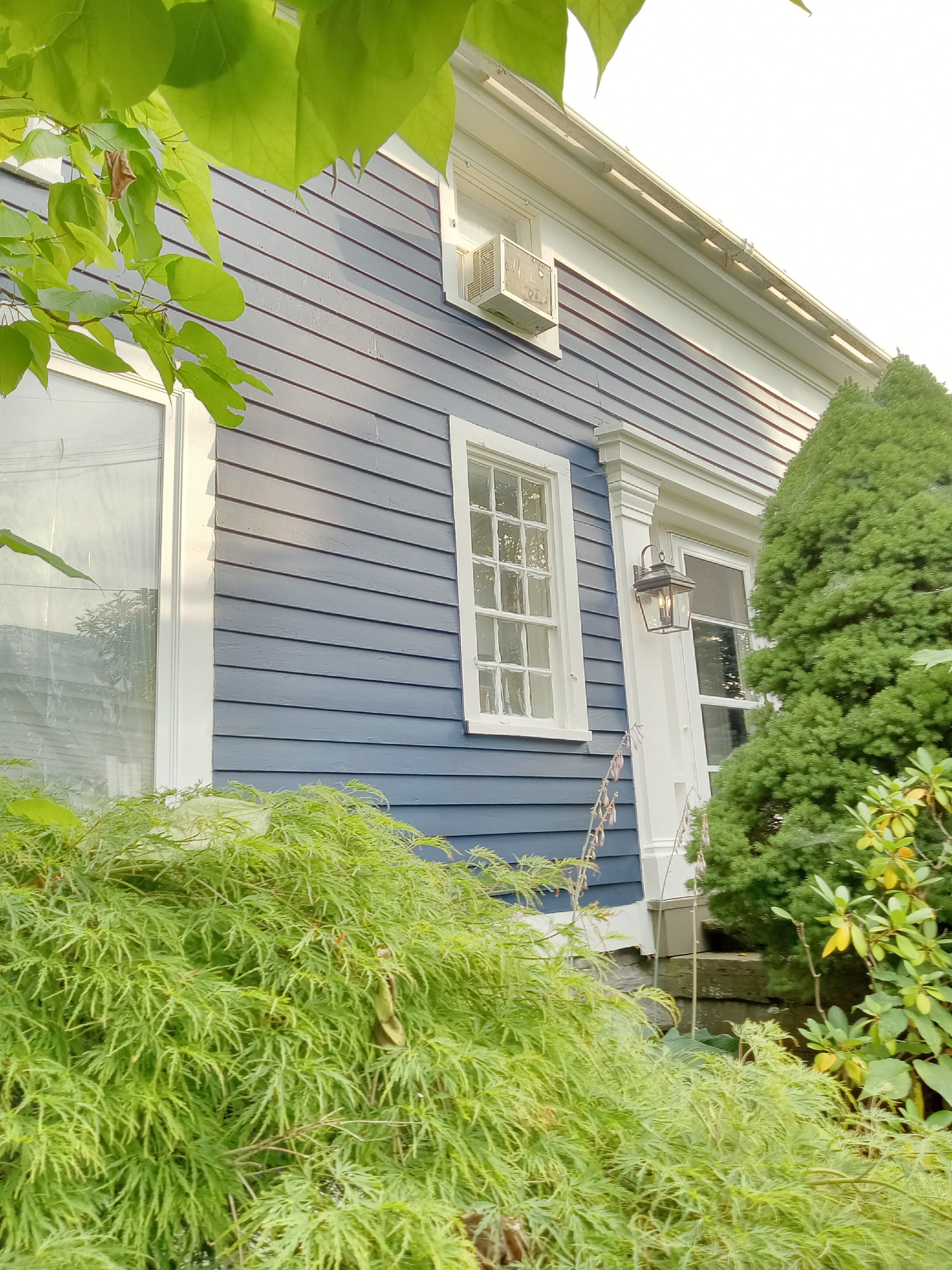 Black Walnut Bed and Breakfast-浴室
