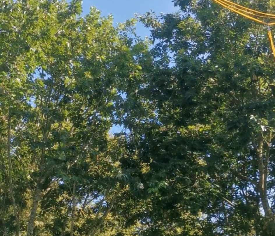 Aventure Parc Lacs de Haute Charente-Massignac必去景点