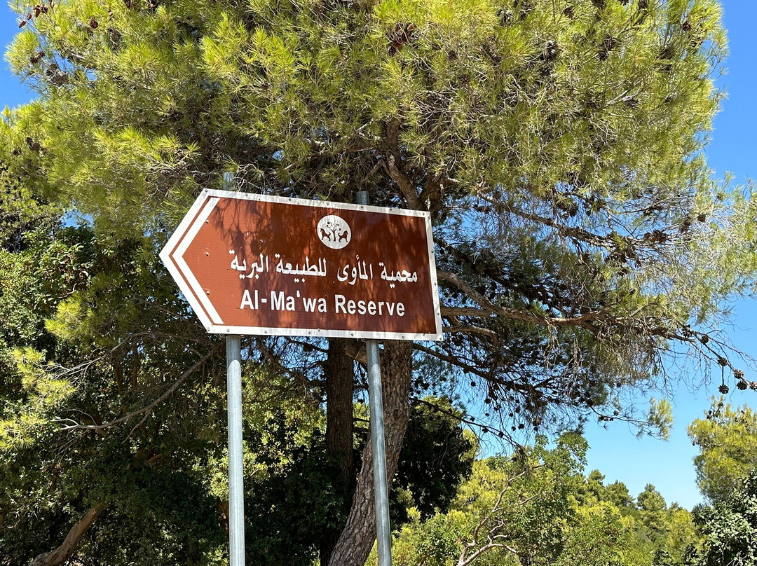 Al Ma'wa for Nature and Wildlife-杰拉什必去景点