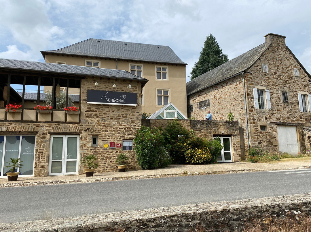 Saint-Just-sur-Viaur旅游攻略图片