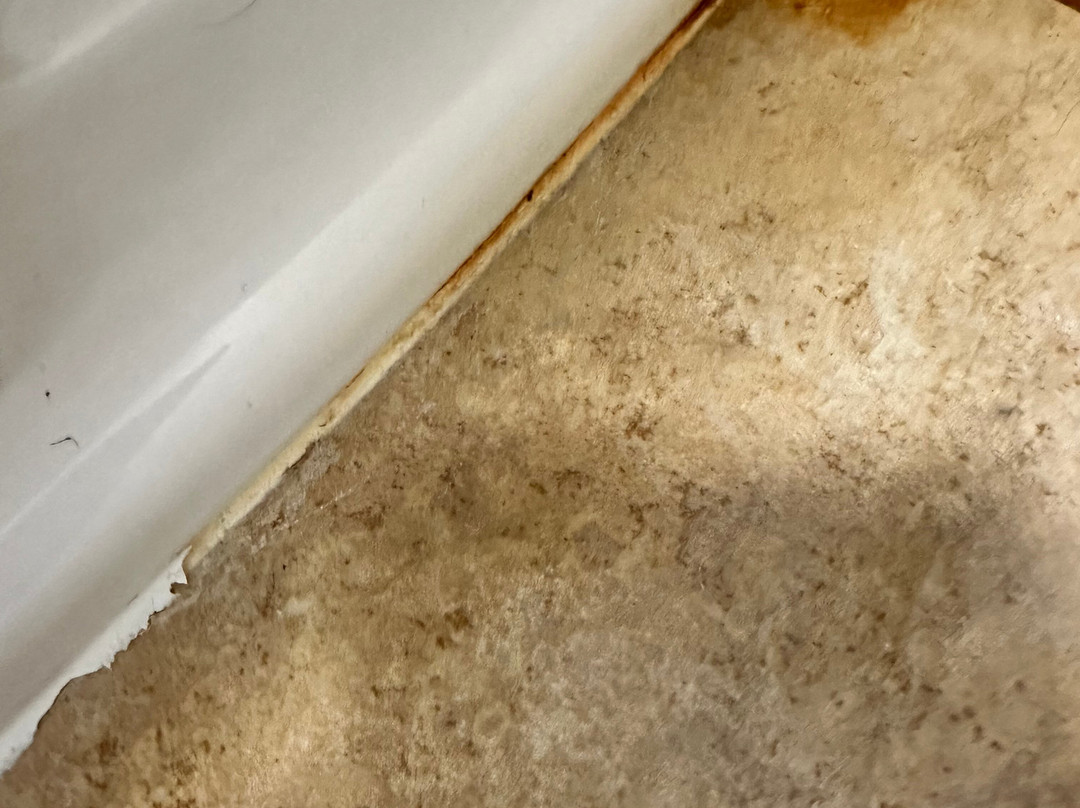 Homewood Suites By Hilton Cleveland-Beachwood主图