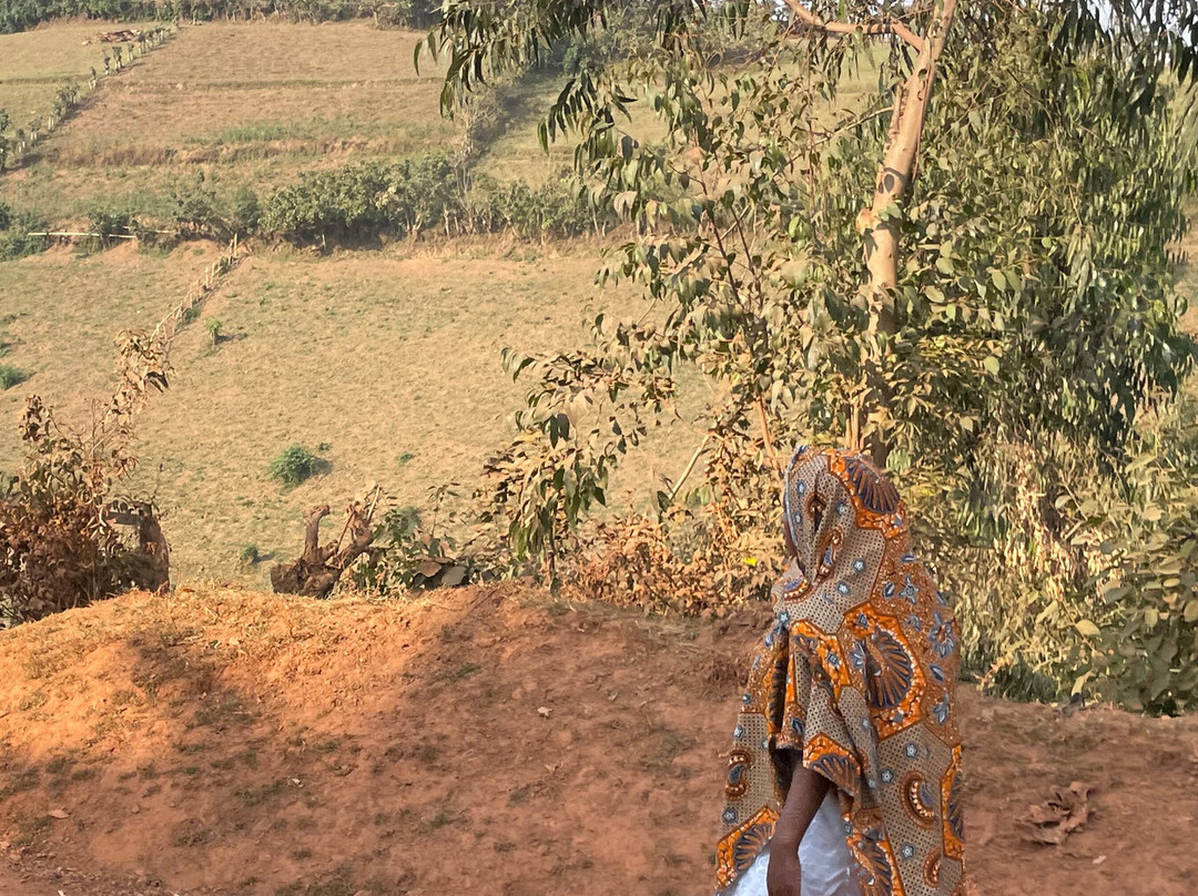 Gorilla Tour Booking Safaris-坎帕拉必去景点