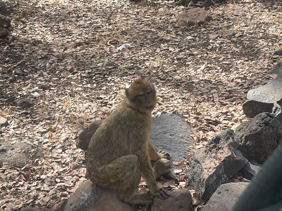 Jari Saoud-Azrou必去景点