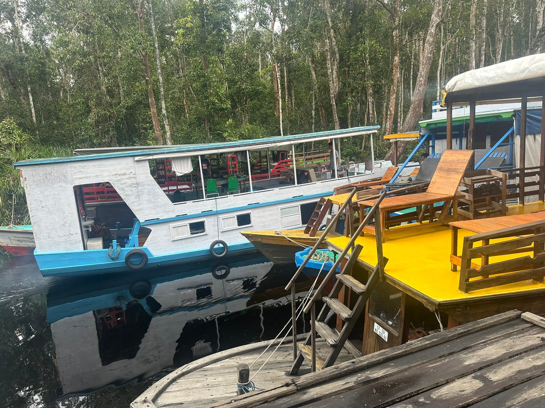 Tanjung Puting National Park-Pangkalan Bun必去景点