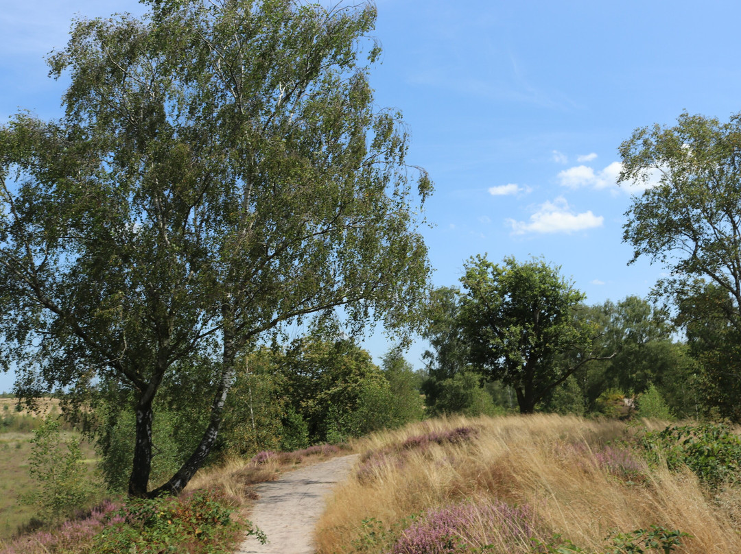 Langoed De Hamert, Wellerlooi-Wellerlooi必去景点