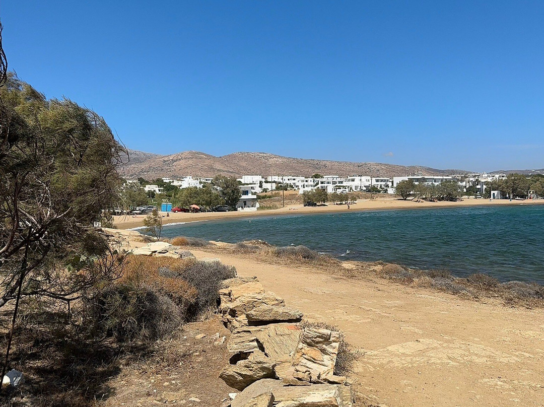 Cactus Beach Paros主图