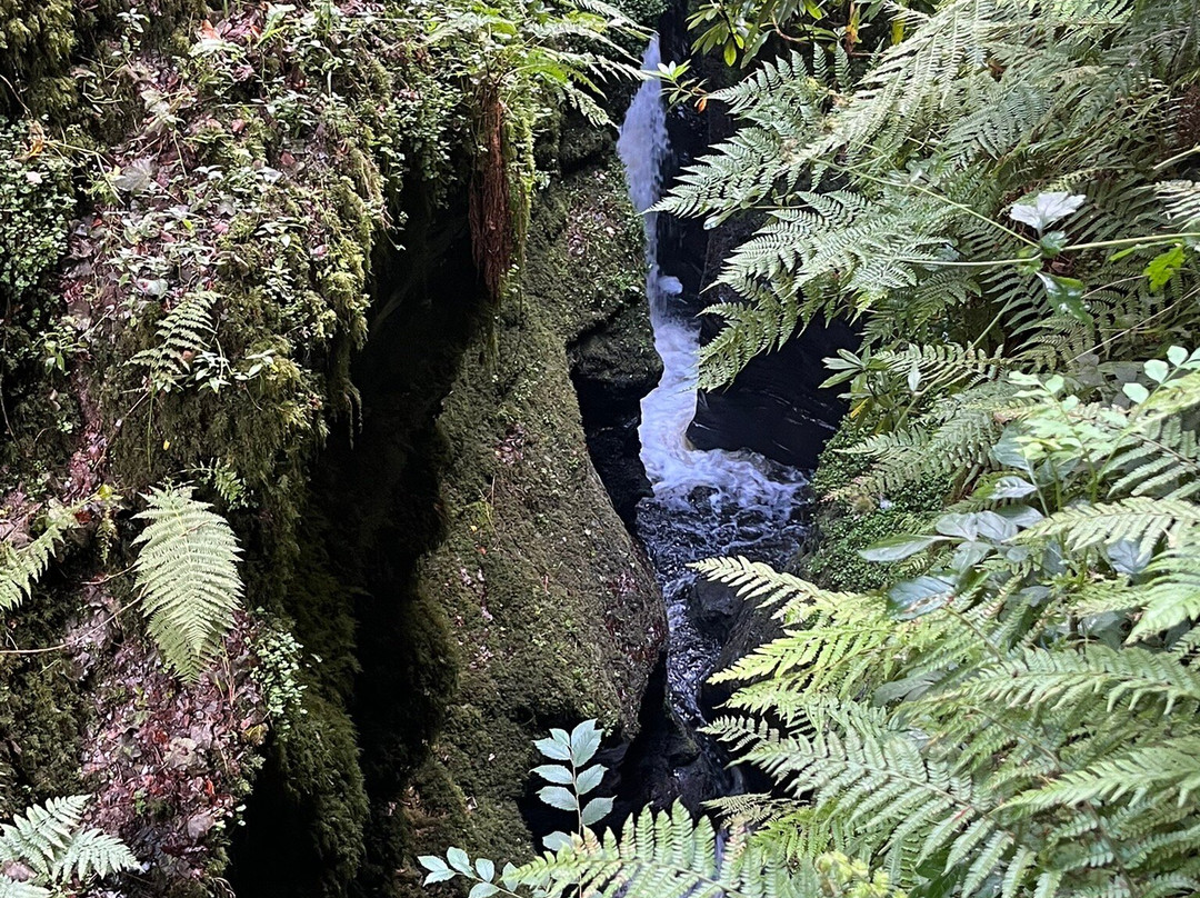 One Drake Road, Tavistock, Devon.主图