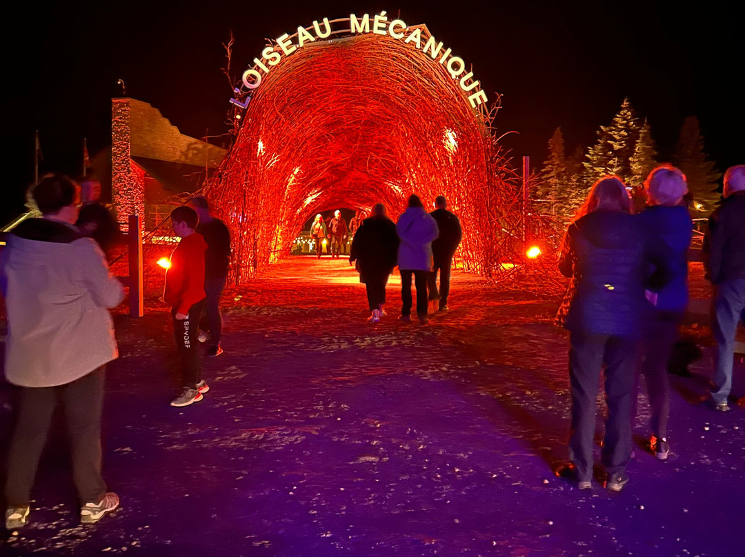 L'oiseau Mécanique-Petite-Riviere-Saint-Francois必去景点
