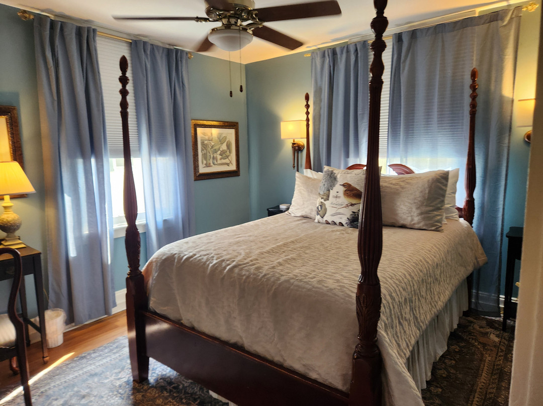 杜鹃花别墅住宿加早餐旅馆主图