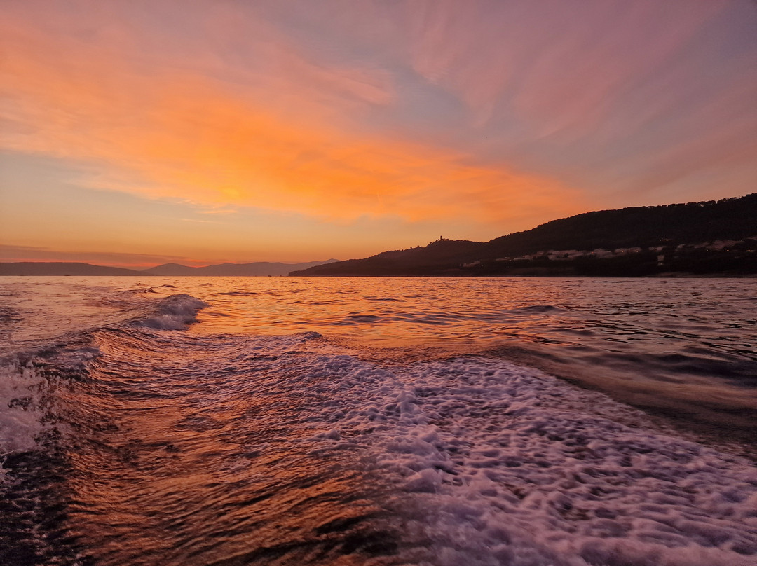 Dalmatia Sea Tours-斯普利特必去景点