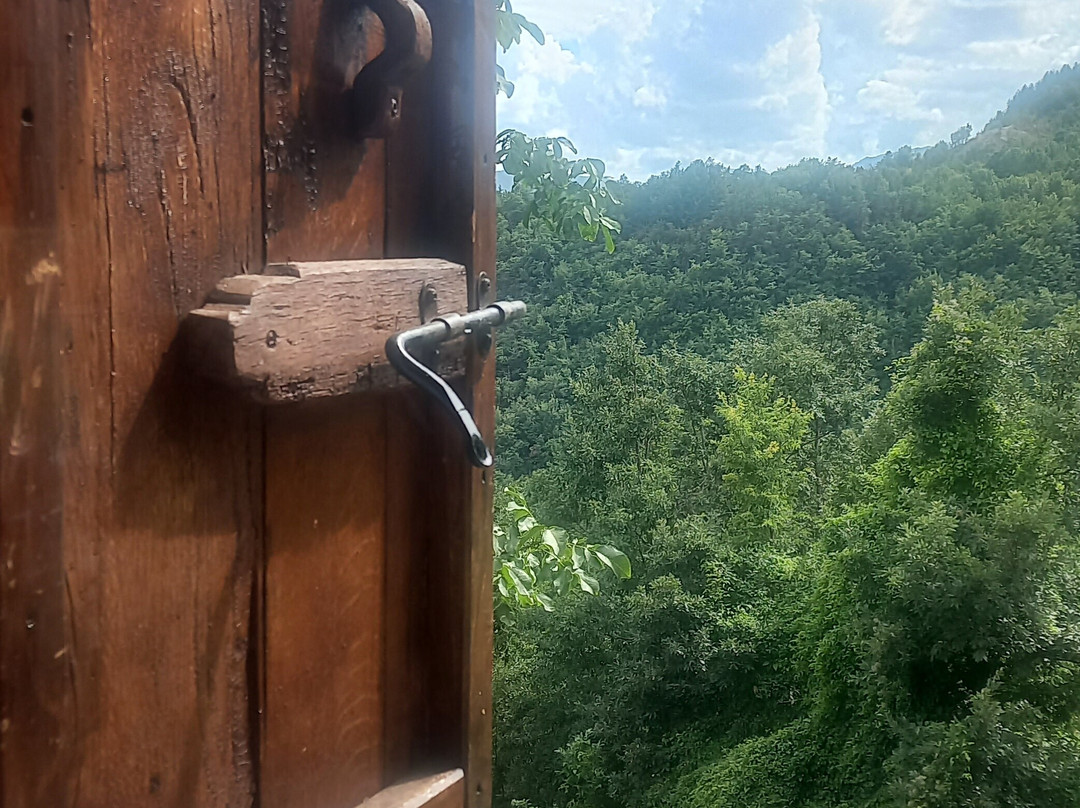 B&b Ca' Dei Lenzotti主图