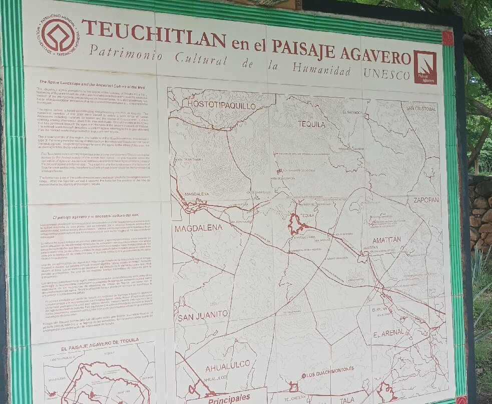 Zona Arqueológica Teuchitlán o Guachimontones景点图片