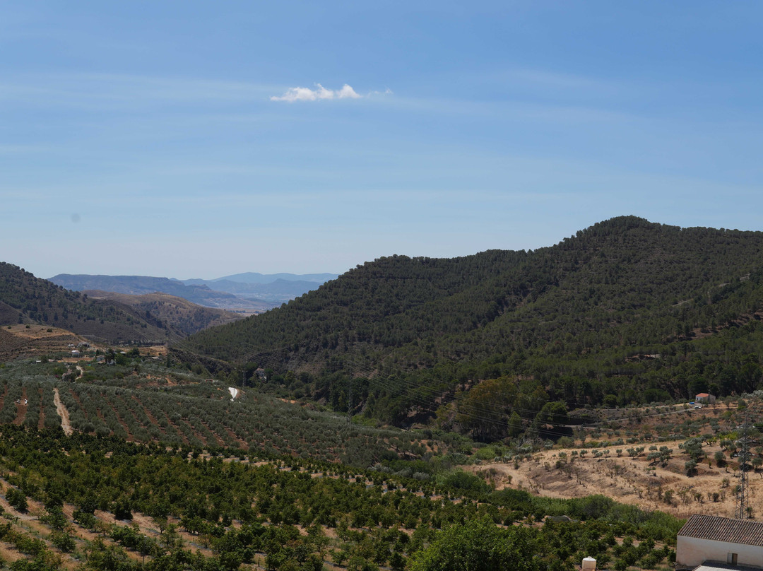 Finca Solmark景点图片