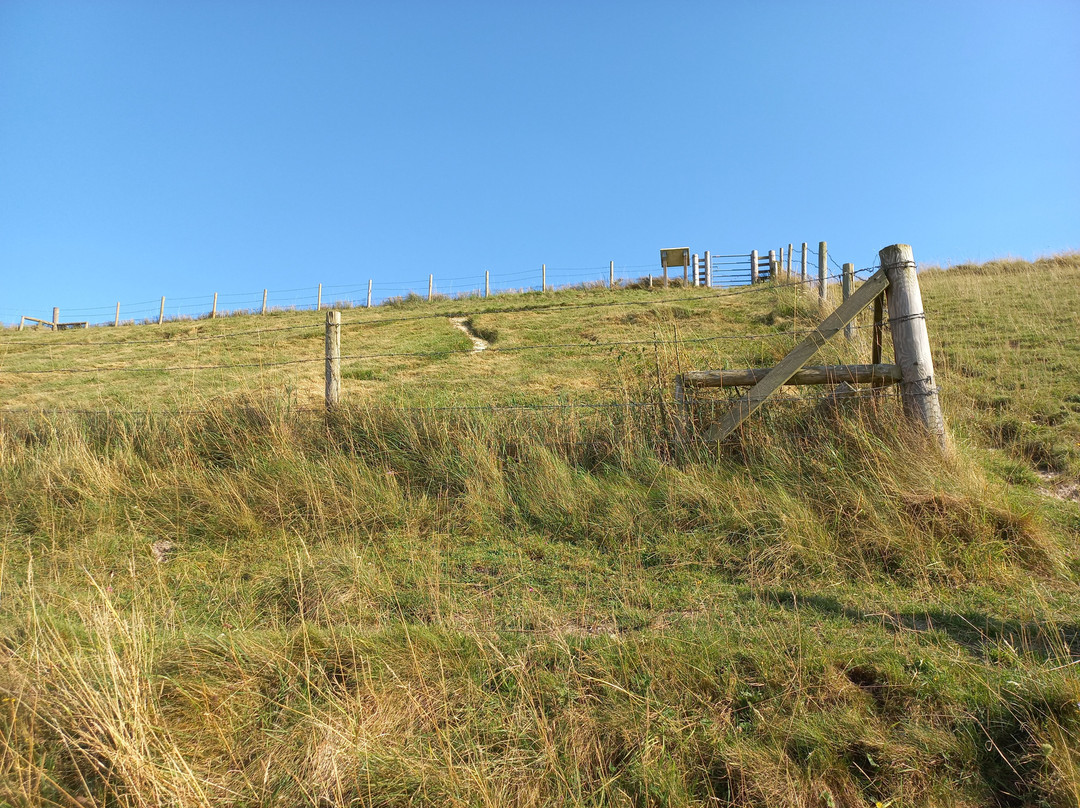 Pewsey White Horse景点图片