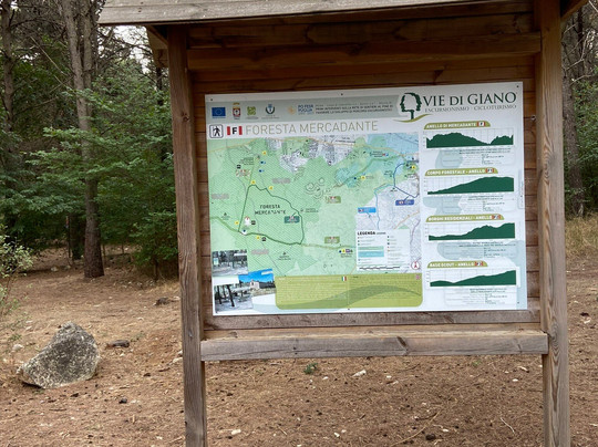 Foresta Mercadante-Cassano delle Murge必去景点