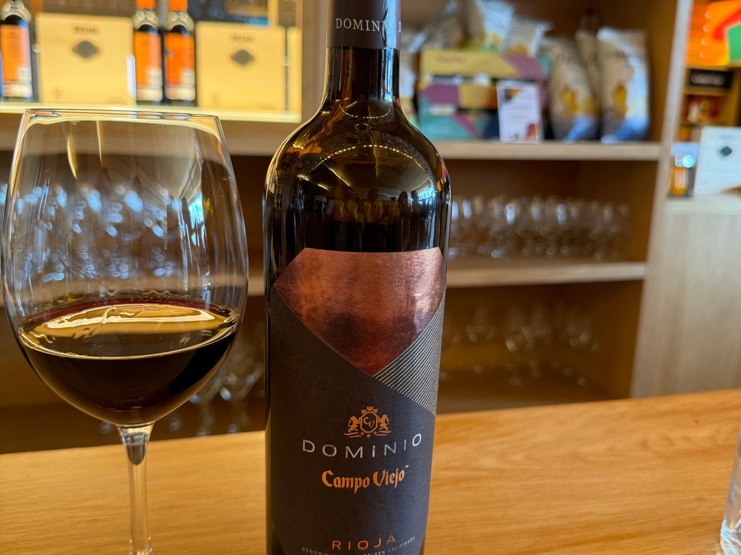 Bodegas Campo Viejo-洛格罗尼奥必去景点