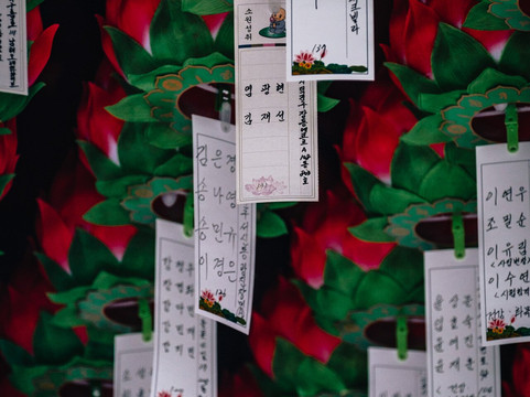 Moak Mountain-全州市必去景点