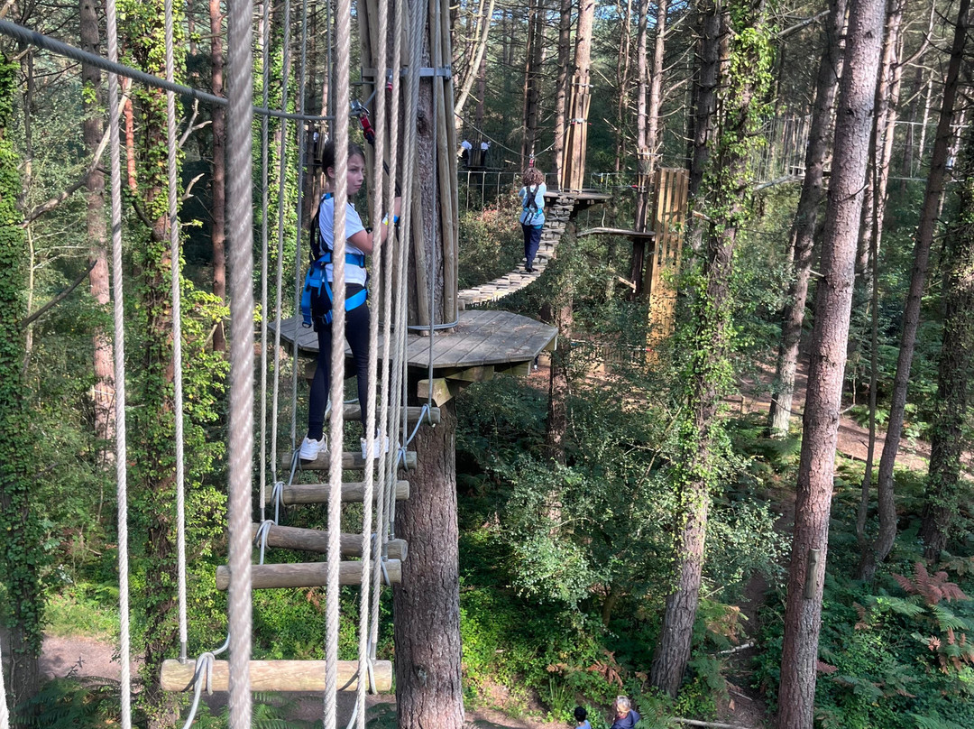 Go Ape Moors Valley景点图片