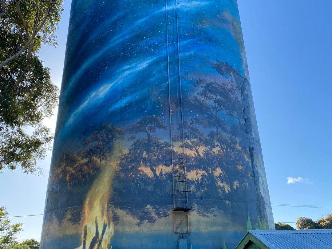Deniliquin Water Tower Mural-Deniliquin必去景点