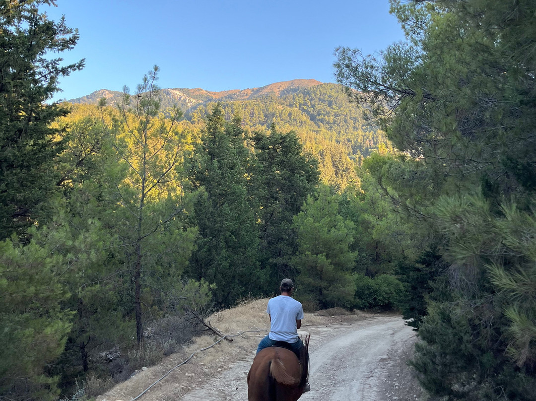 Paradise Ranch Kos Mountain Horse Riding-Asfendiou必去景点