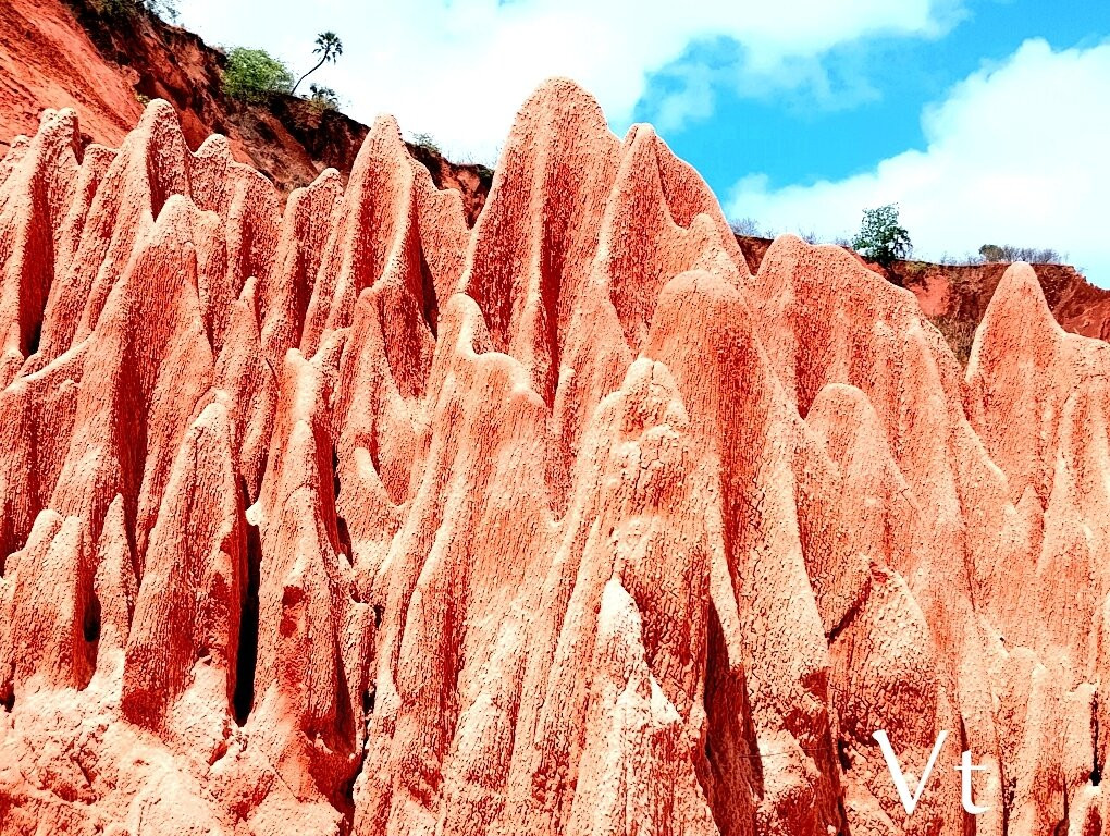 Tsingy Rouge Park景点图片