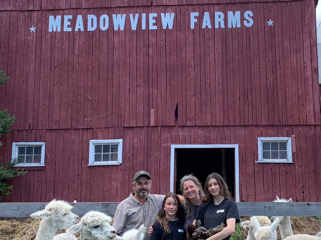 Meadowview Alpaca Farm景点图片