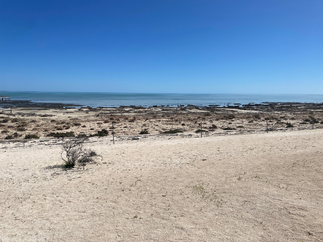 Hamelin Pool Telegraph Station-Hamelin Pool必去景点