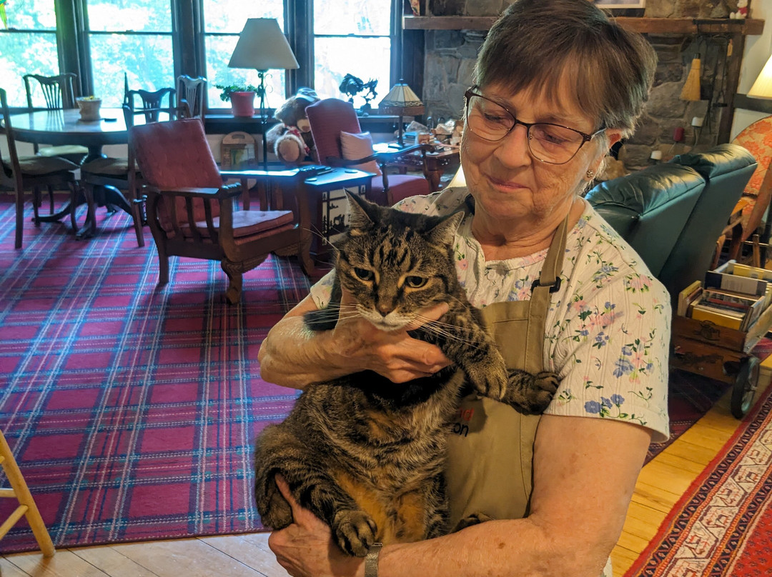 West Hill House B&B主图