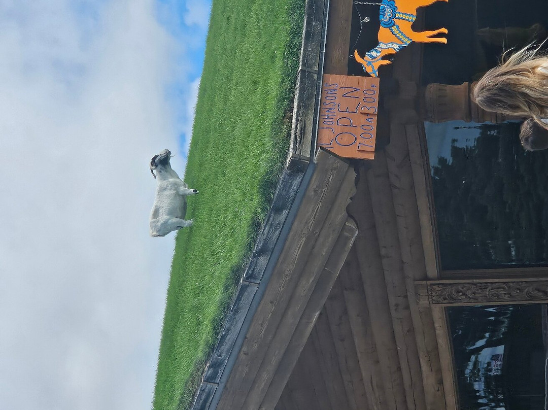 The Ellison Inn & Lounge主图