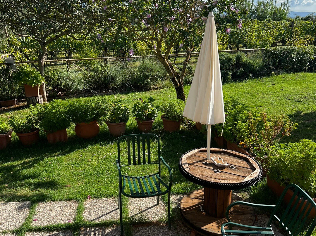 Podere San Quirico主图