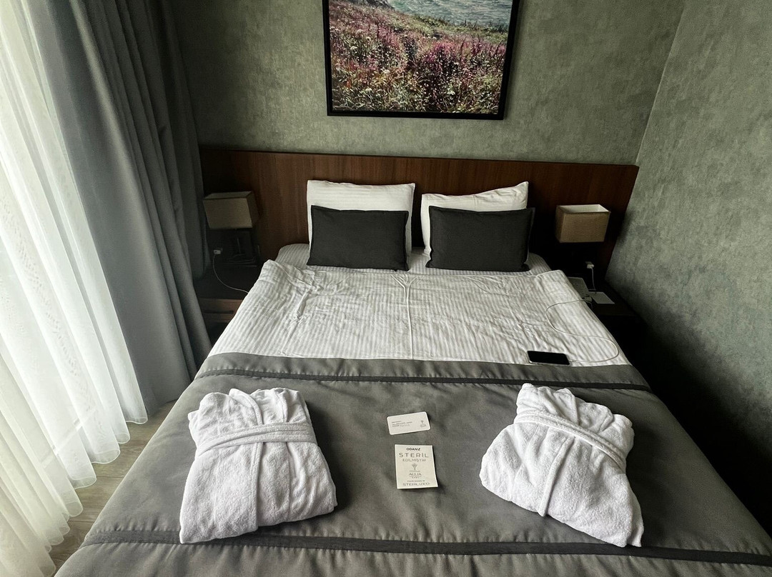 Kazdaglari Allia Thermal Health & Spa主图