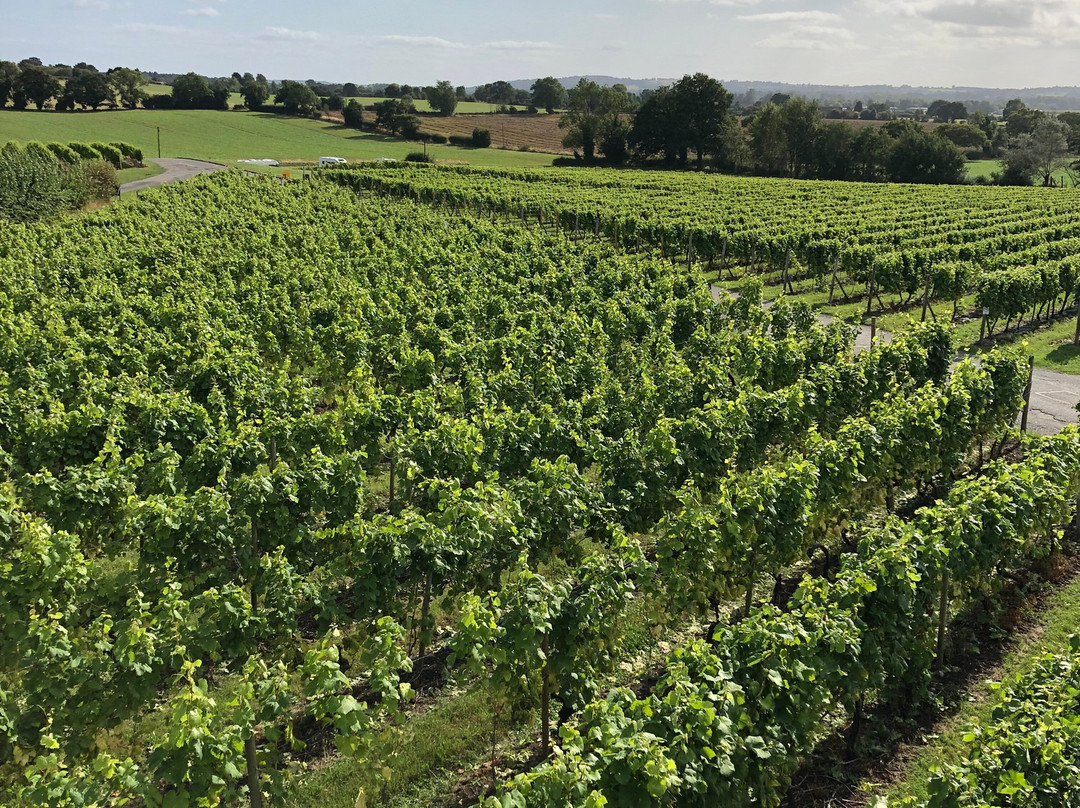 Halfpenny Green Wine Estate景点图片