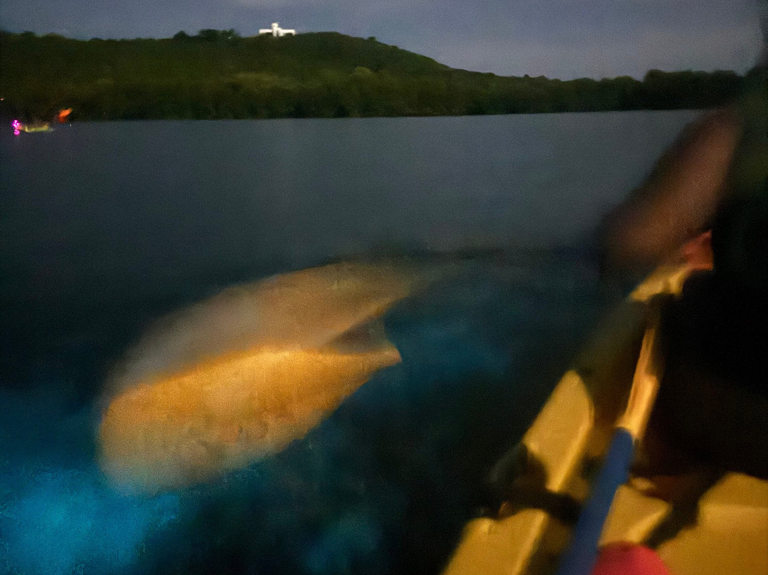 Eco Action Tours-Las Croabas必去景点