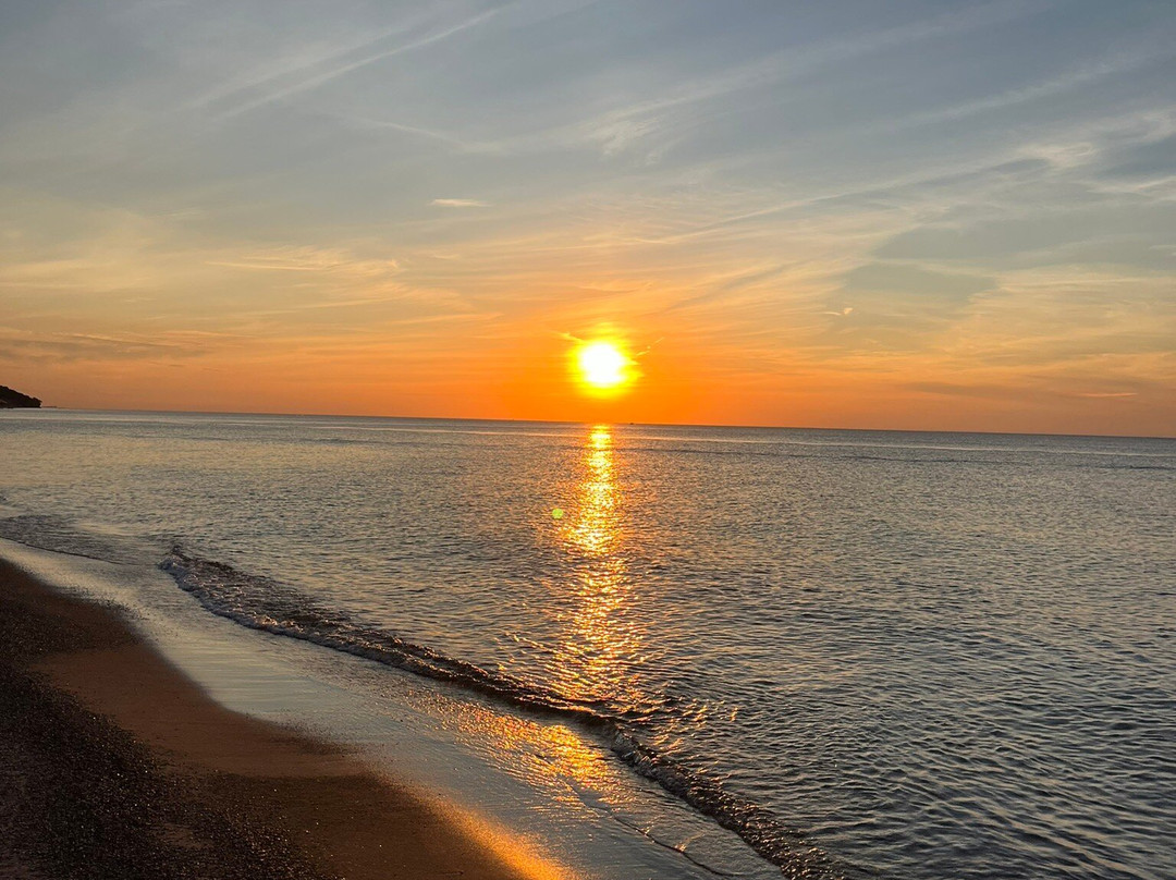 Al & Sally's Motel主图