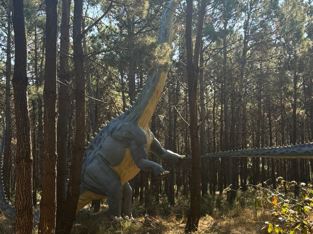 Dino Parque景点图片