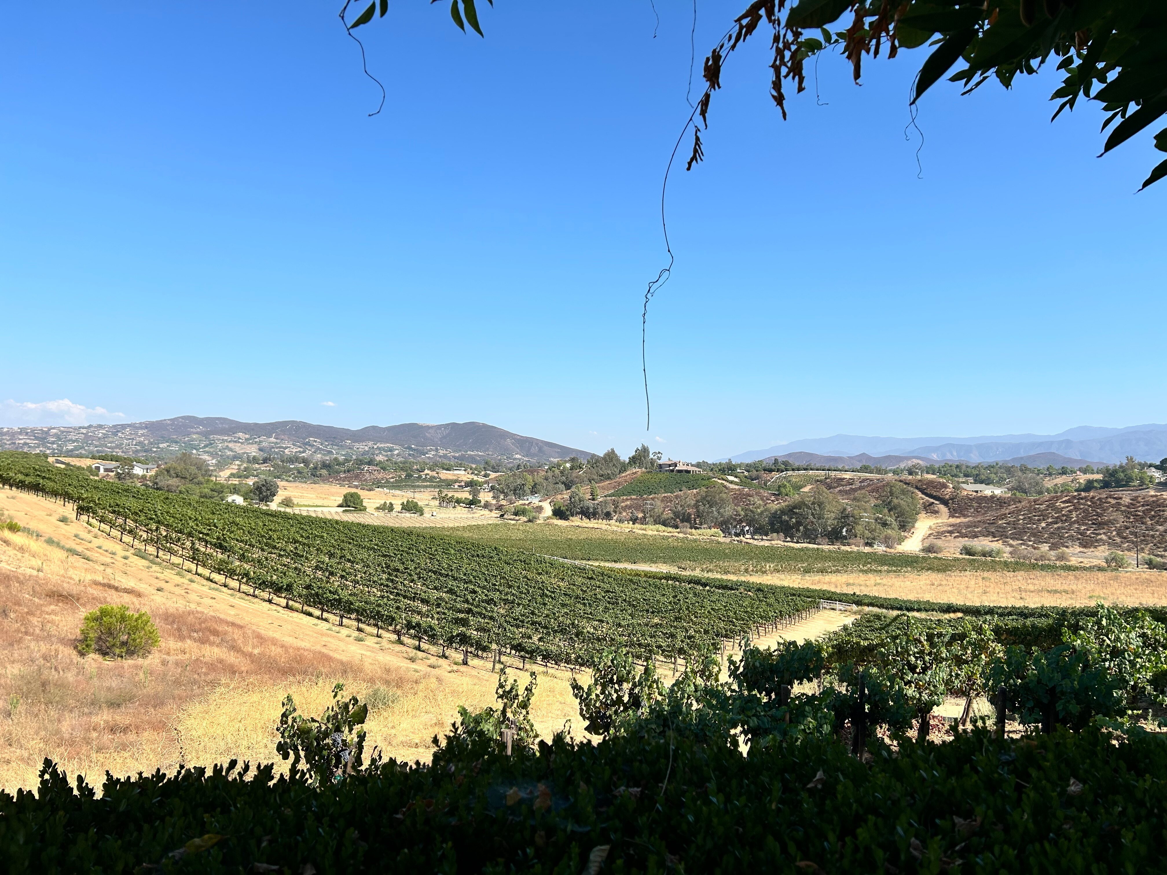 South Coast Winery Resort & Spa-浴室