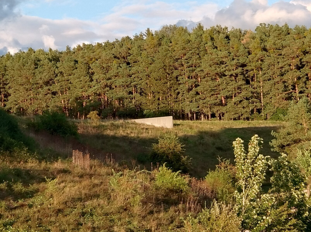 European Continental Divide Monument景点图片