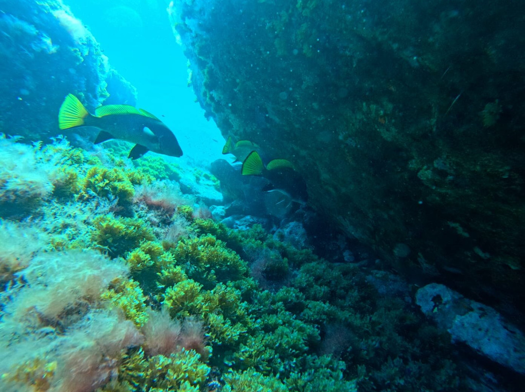 Blue Addiction-La Londe Les Maures必去景点