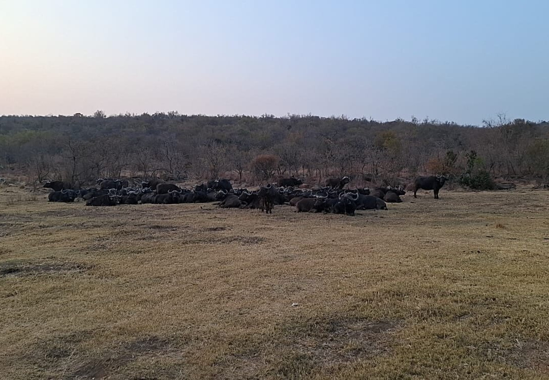 Welgevonden Nature Reserve-瓦尔沃特必去景点