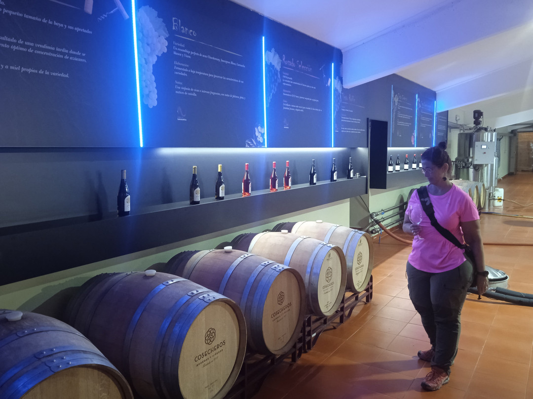 Bodega Cosecheros de Olite-Olite必去景点