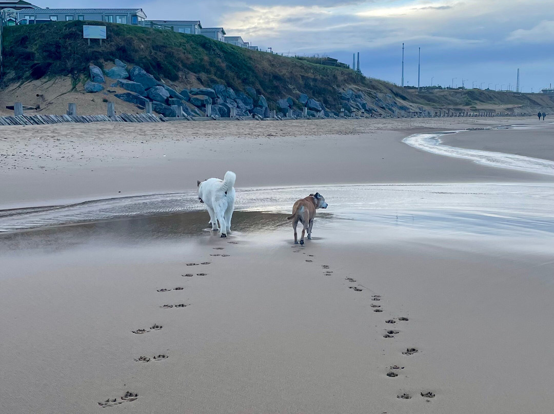 Bacton Beach-Bacton必去景点