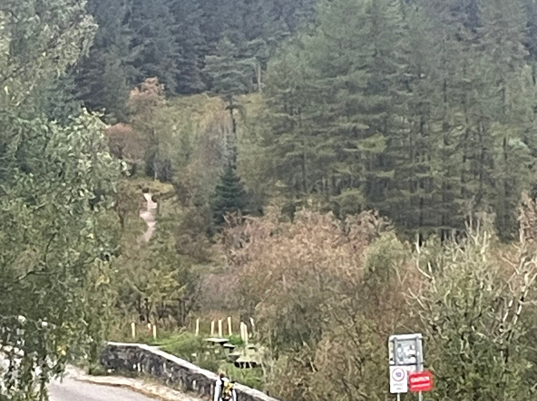 Bridge of Orchy Hotel主图