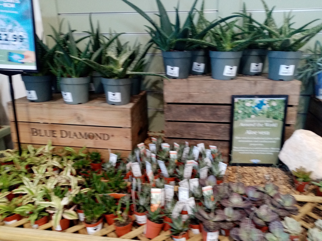 Blackdown Garden Centre,-惠灵顿必去景点