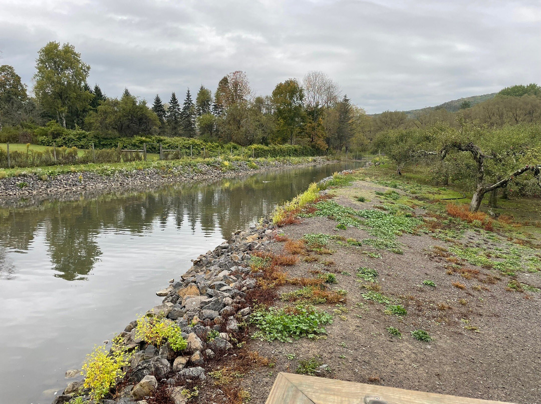Fly Creek Cider Mill & Orchard景点图片