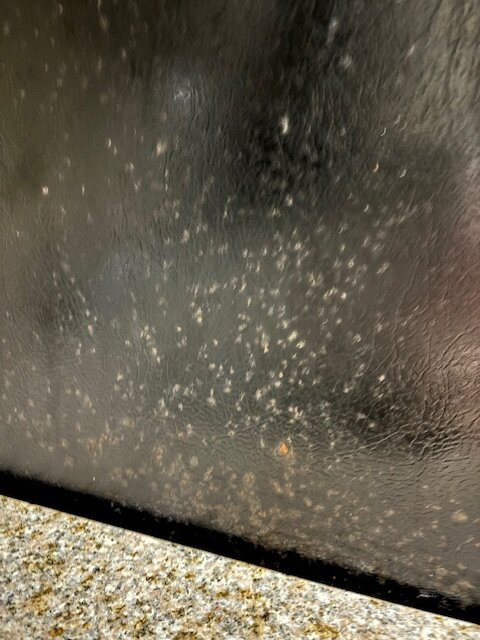 TownePlace Suites by Marriott Wilmington/Wrightsville Beach主图